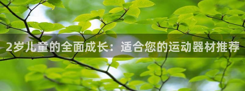 fb体育是干嘛的公司:2岁儿童的全面成长:适合您的运动器材推