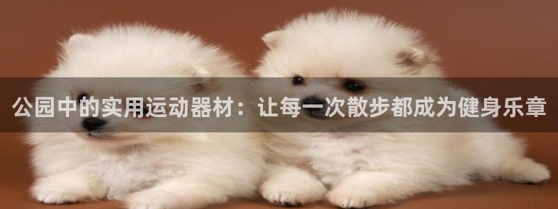 fb体育官网:公园中的实用运动器材:让每一次散步都成为健身乐